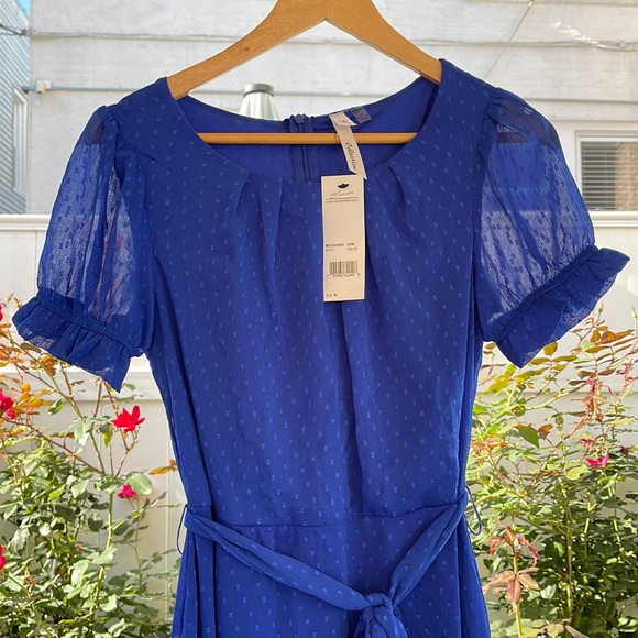 NY Collection - Blue Short Sleeve Belted Swiss Dot Dress - Medium - Picture 3 of 14